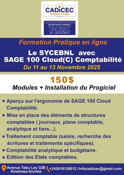 Formation en ligne sur le SYCEBNL avec SAGE . Inscrivezvous